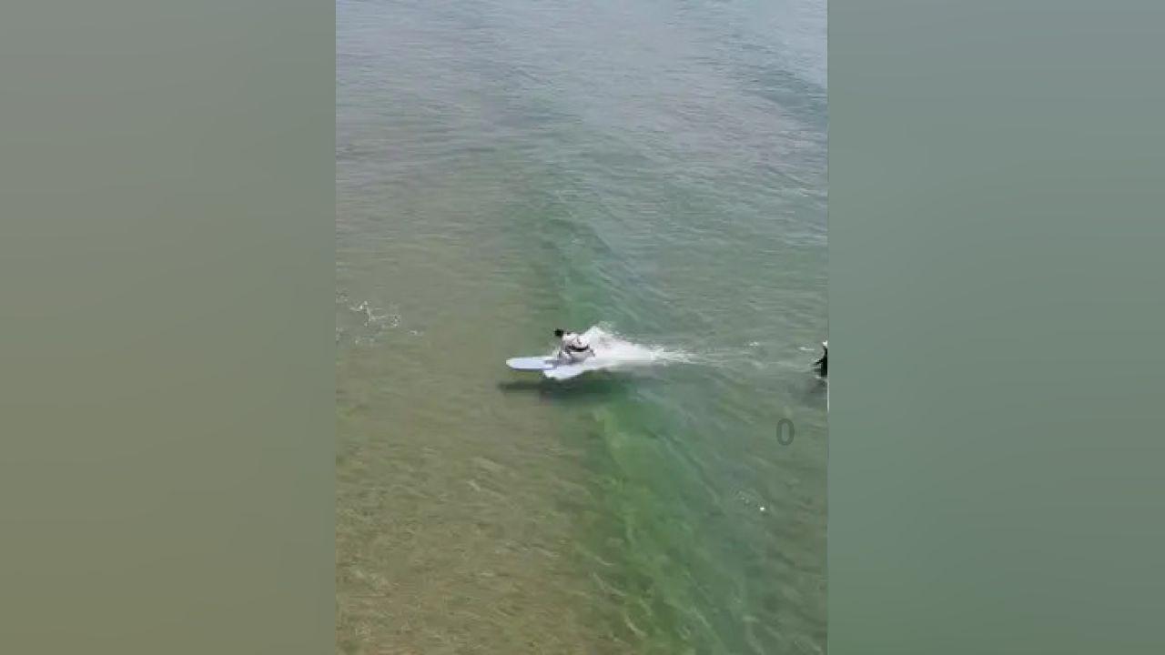 大满贯最佳战绩！郑钦文0:2不敌萨巴伦卡，首获澳网女单亚军